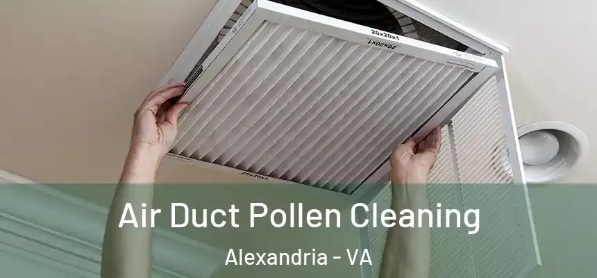  Air Duct Pollen Cleaning Alexandria - VA