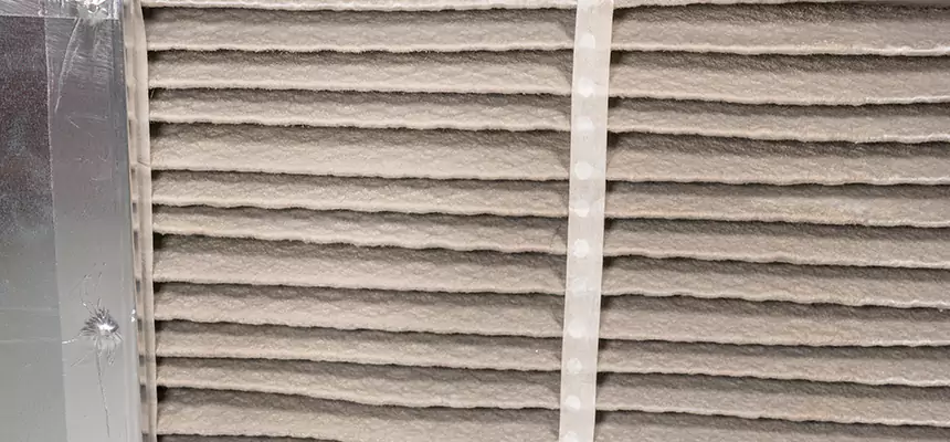 Mobile Car AC Filter Replacement in Alexandria