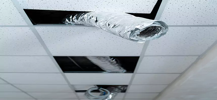 Affordable HVAC Sanitizing After Pest Removal in Alexandria