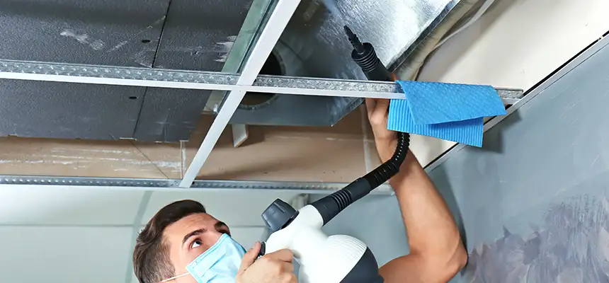 Our Air Duct Rodent Removal Services in Alexandria, VA