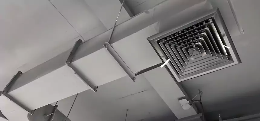 Restorative Allergy Relief Vent Cleaning – Coil, Blower & Housing Detail in Alexandria