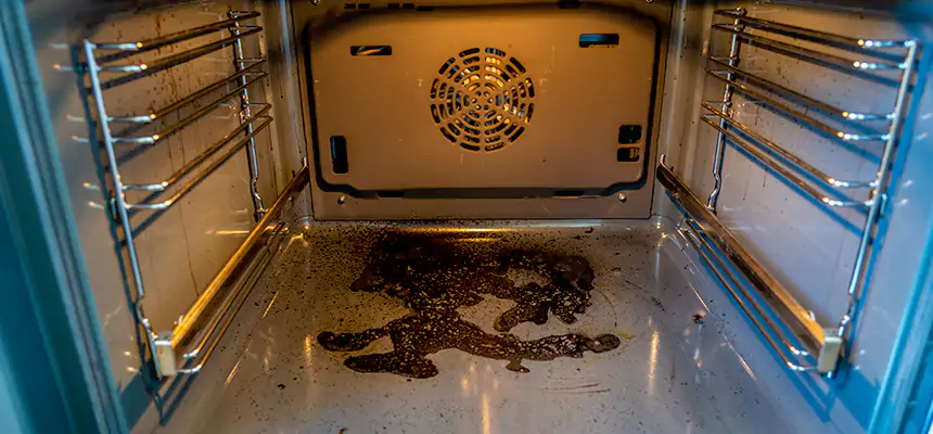 Our Dryer Vent Mold Cleaning Services in Alexandria, VA