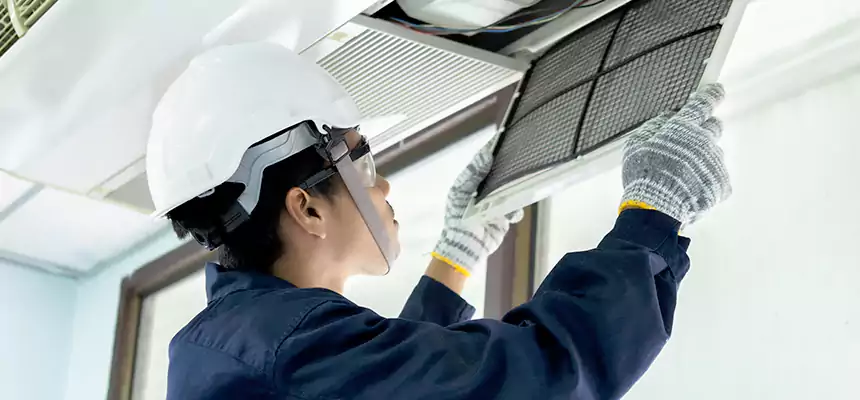 Our Mold & Mildew Removal from Air Ducts Services in Alexandria, VA