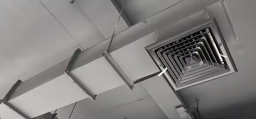 Our Rodent Droppings In Vents Services in Alexandria, VA