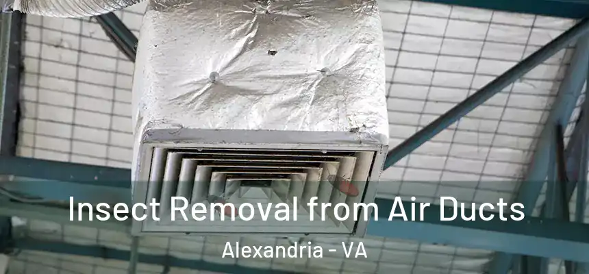 Insect Removal from Air Ducts Alexandria - VA