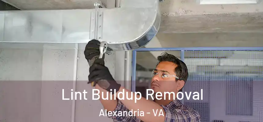  Lint Buildup Removal Alexandria - VA