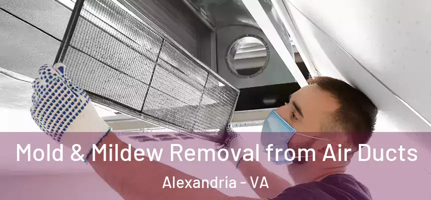 Mold & Mildew Removal from Air Ducts Alexandria - VA