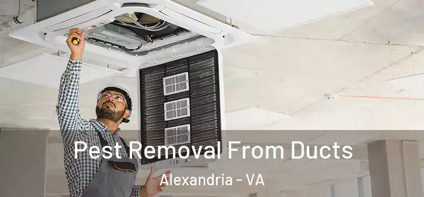  Pest Removal From Ducts Alexandria - VA