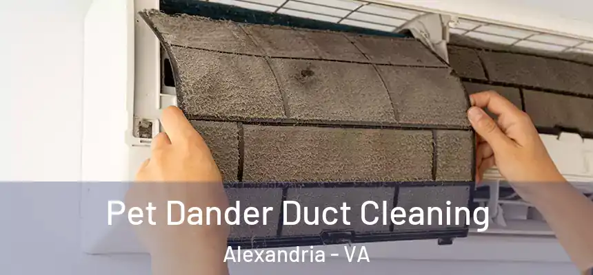 Pet Dander Duct Cleaning Alexandria - VA