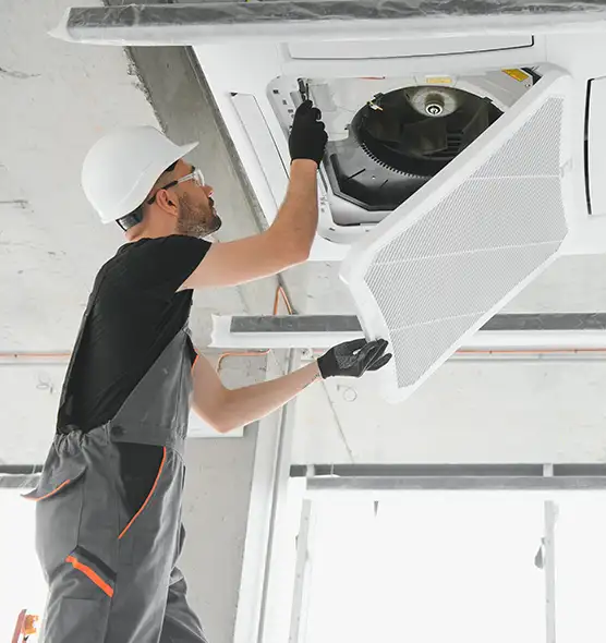 About Air Duct Rodent Removal in Alexandria, VA