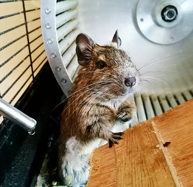 Why Homeowners & Businesses Trust Us Alexandria, VA?