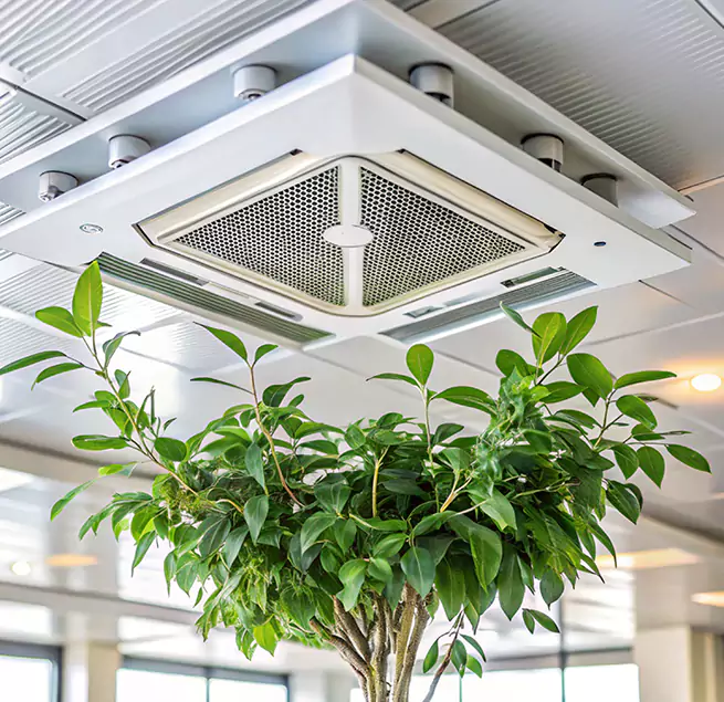 Why Homeowners & Businesses Trust Us in Alexandria, VA?